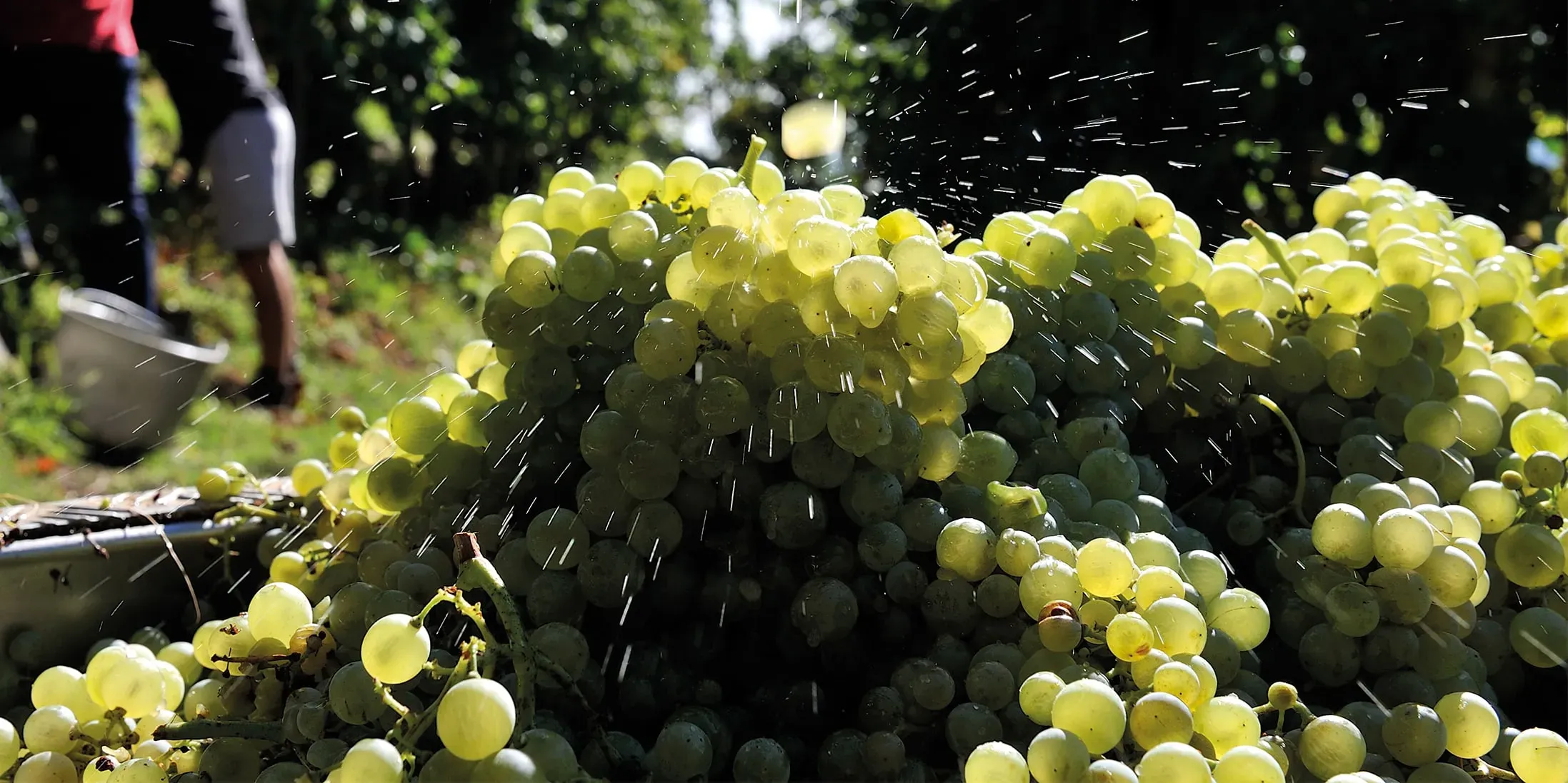 Background contatti e ospitalità