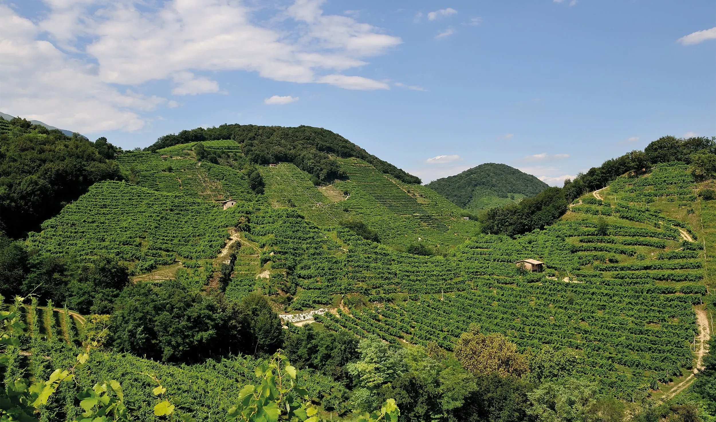 Background territorio